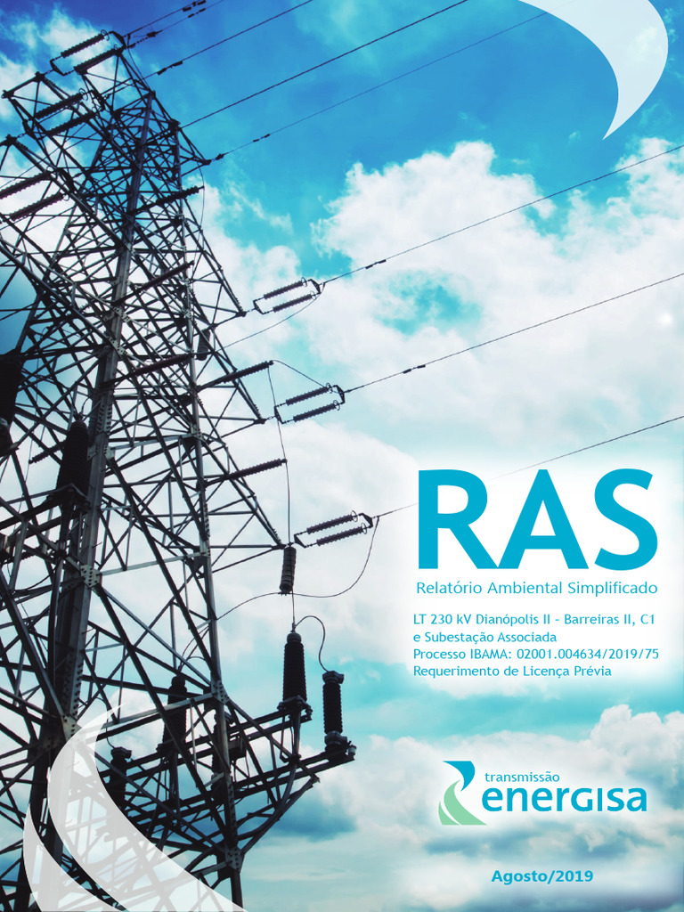 Ras 19112019 Completo PDF 1 | PDF