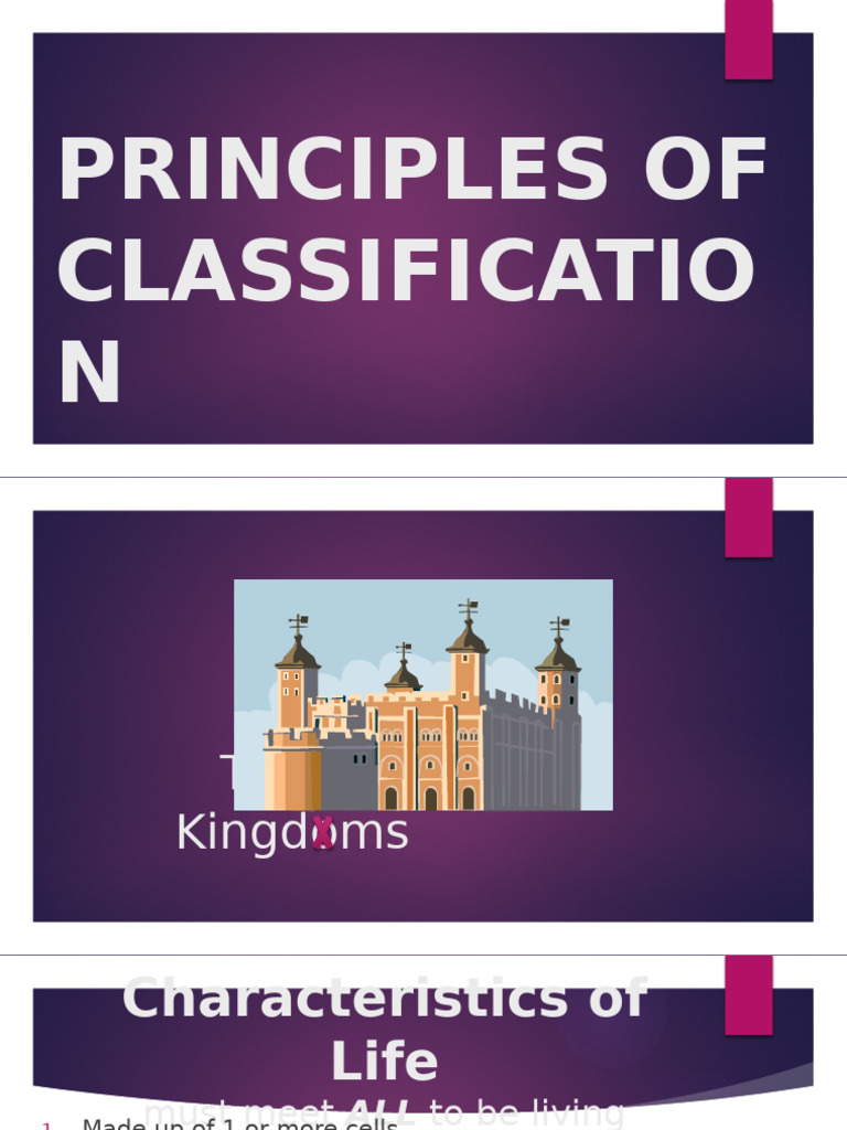 Classification | PDF