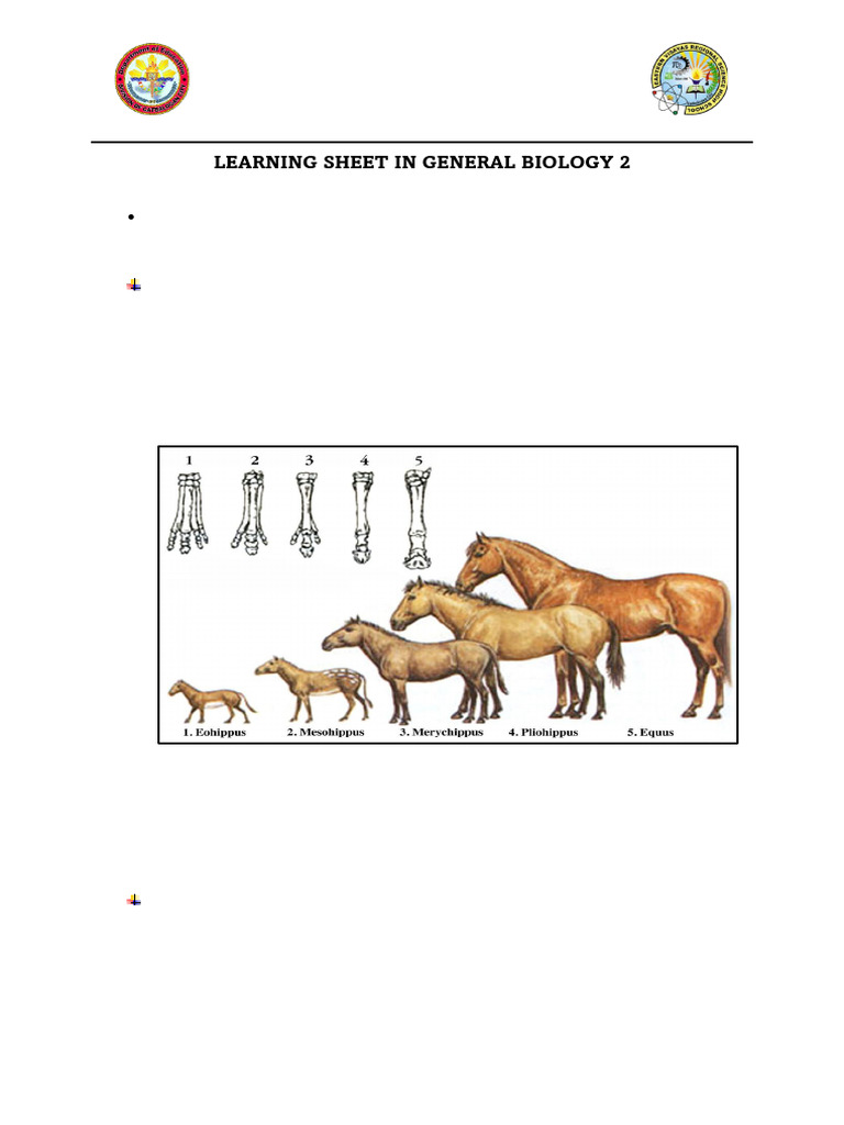 L5 Evidences of Evolution STUDENTS | PDF | Evolution | Homology (Biology)