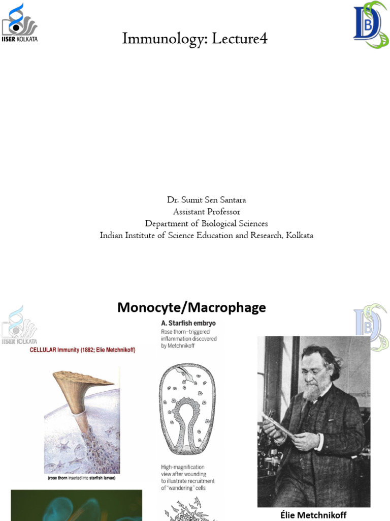 Lecture 4 | PDF