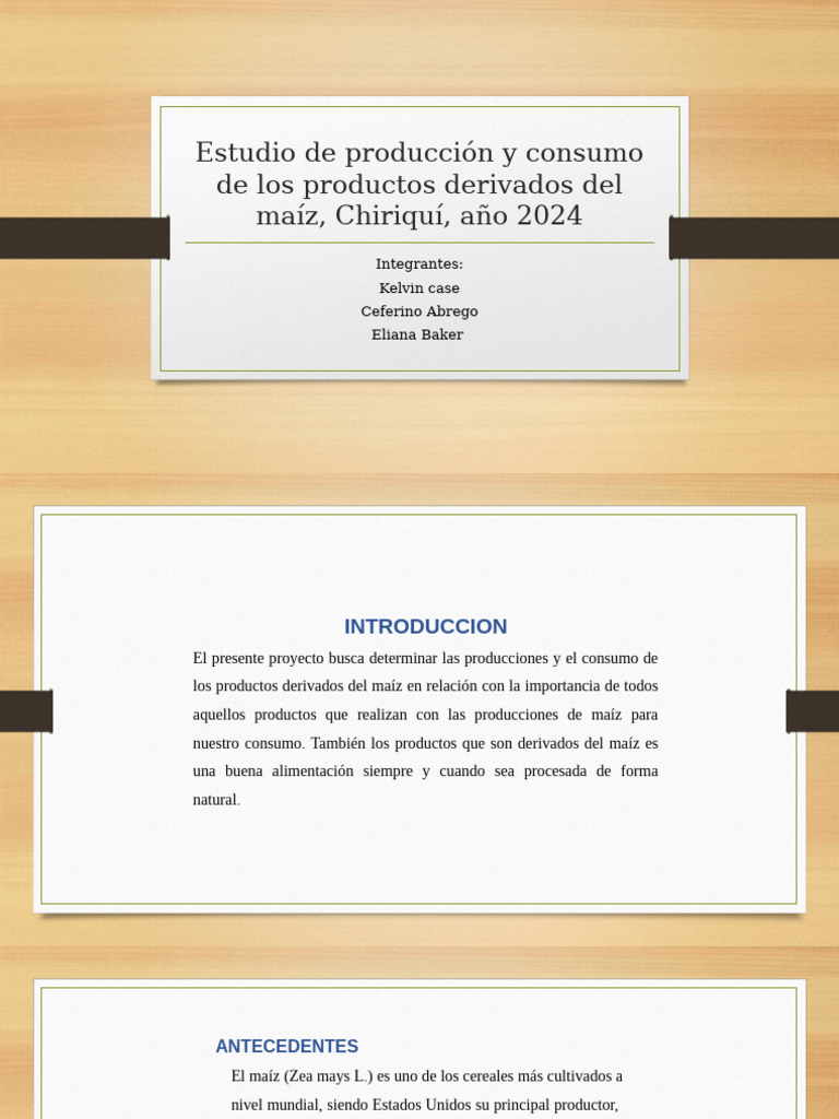 Estudio de Producción y Consumo de Los Productos | PDF