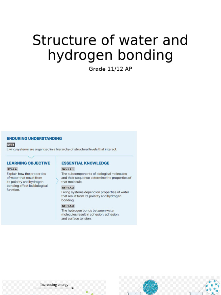 Unit 1 Structure Of Water And Hydrogen Bonding Pdf