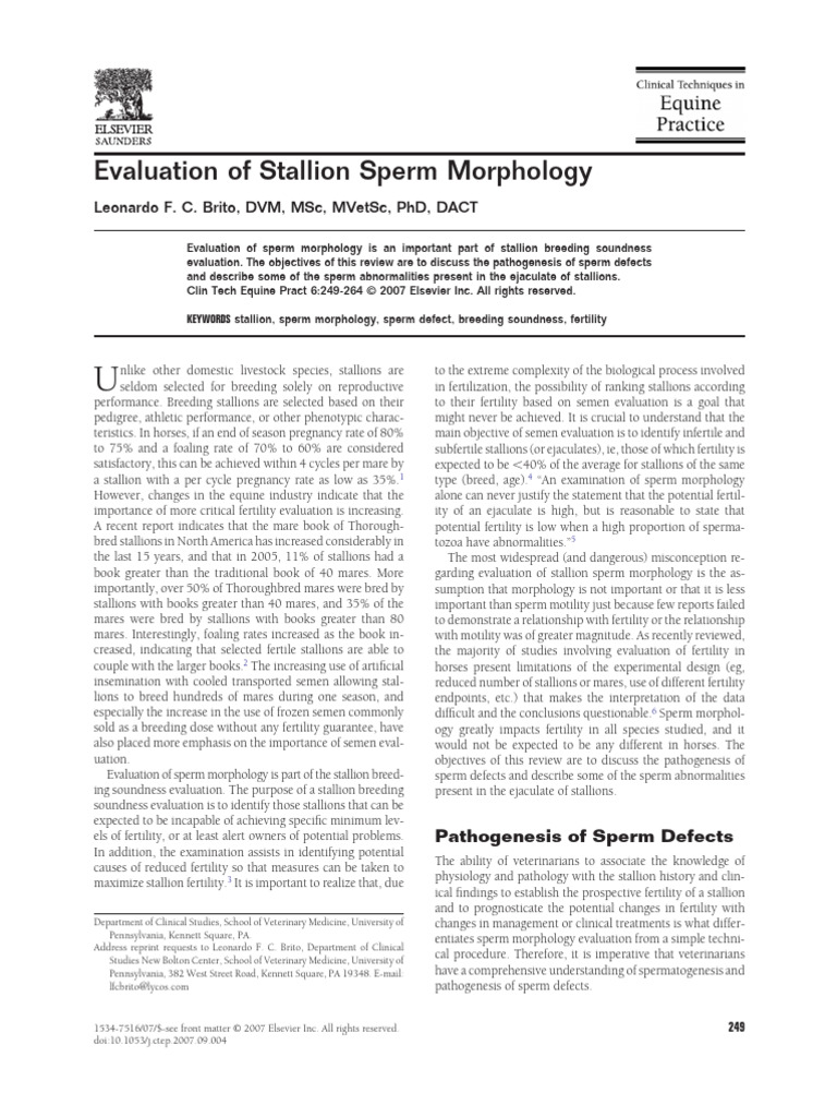 Evaluation of Stallion | PDF