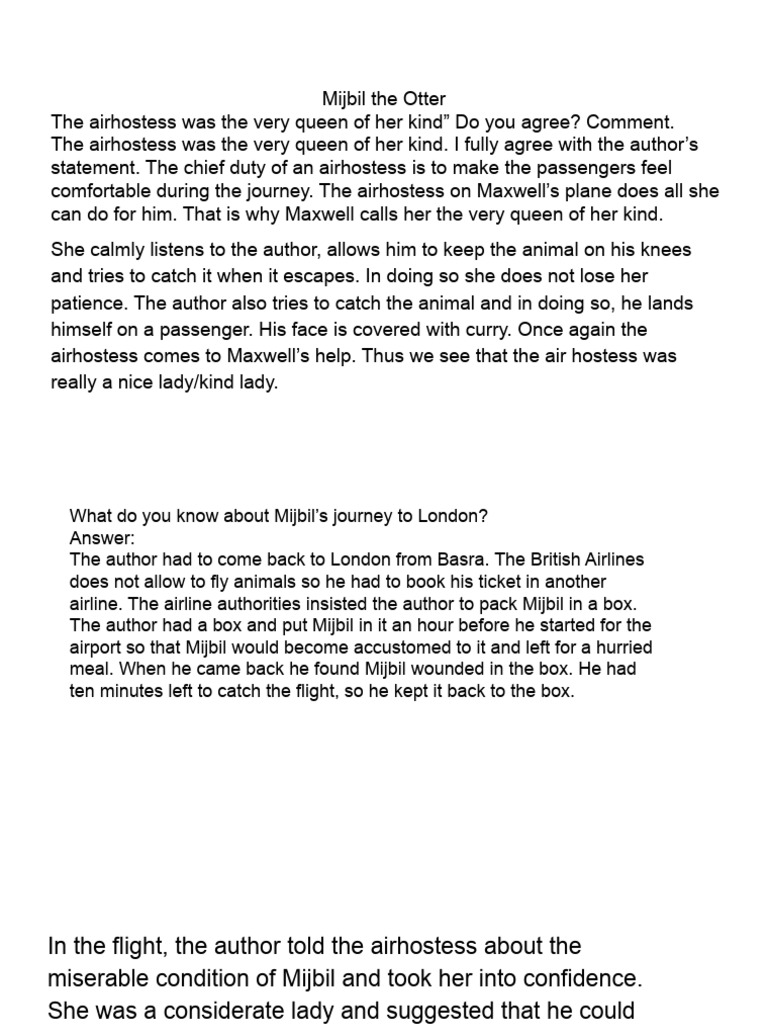 Describe The Physical Appearance Of Mijbil The Otter