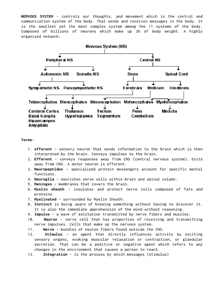 N S - Notes | PDF