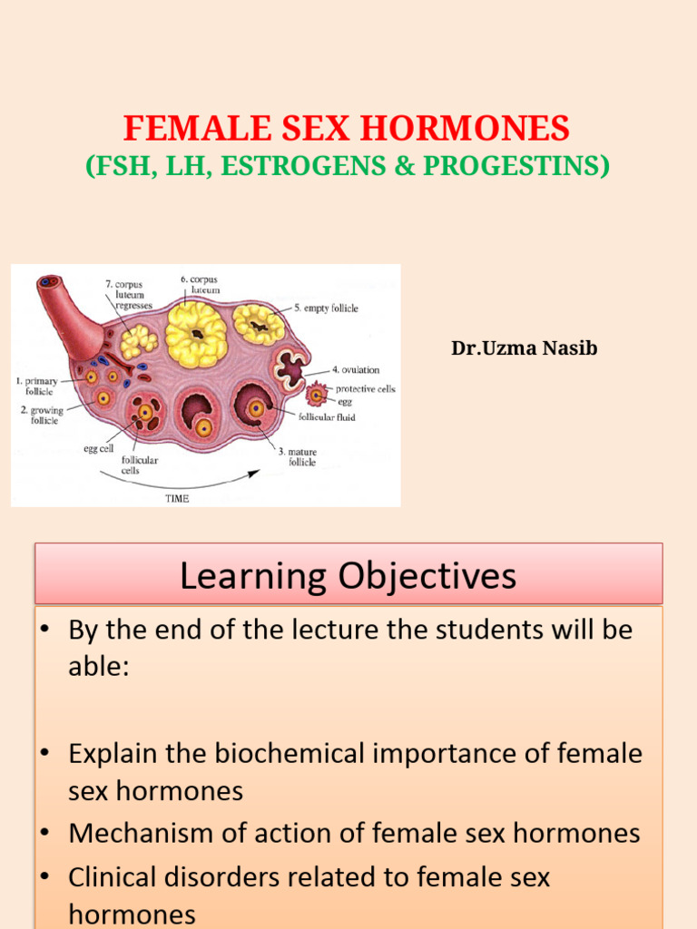Female Sex Hormones - Un.2022 | PDF