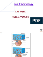 Human Embryology: 2.nd WEEK Implantation