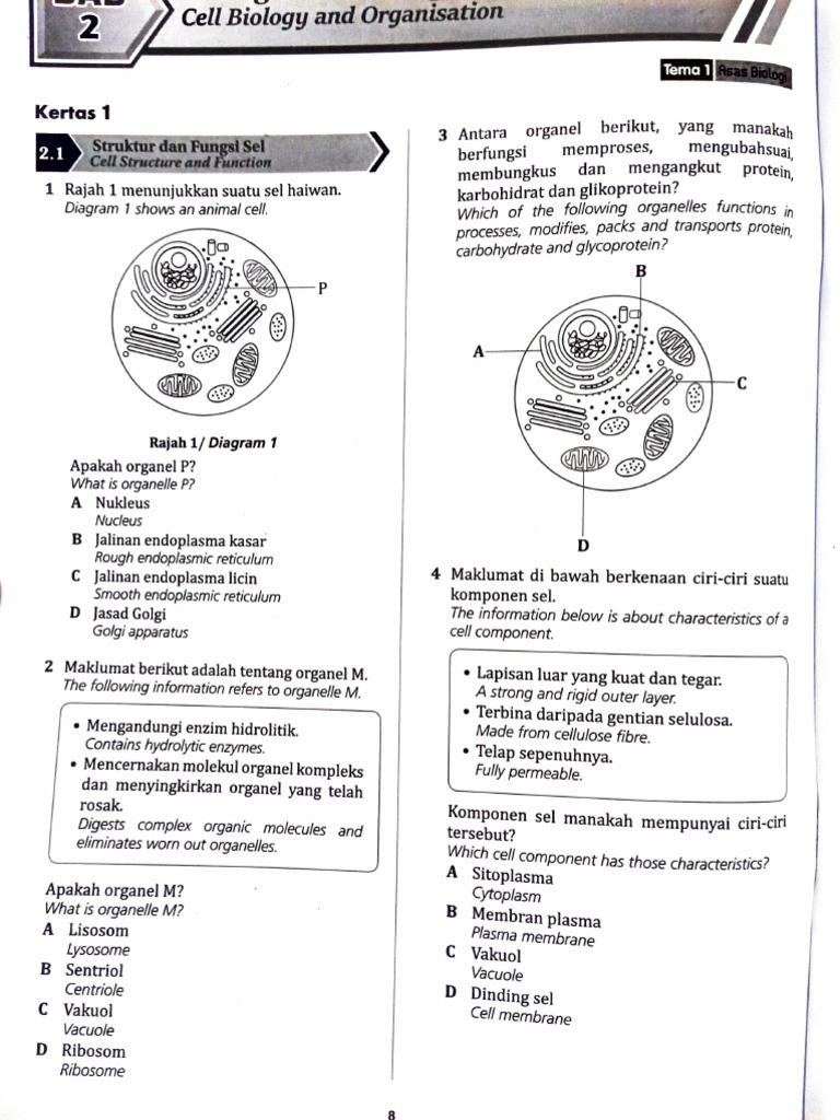 Chapter 2.F4. Structure of Cell Paer 1 | PDF