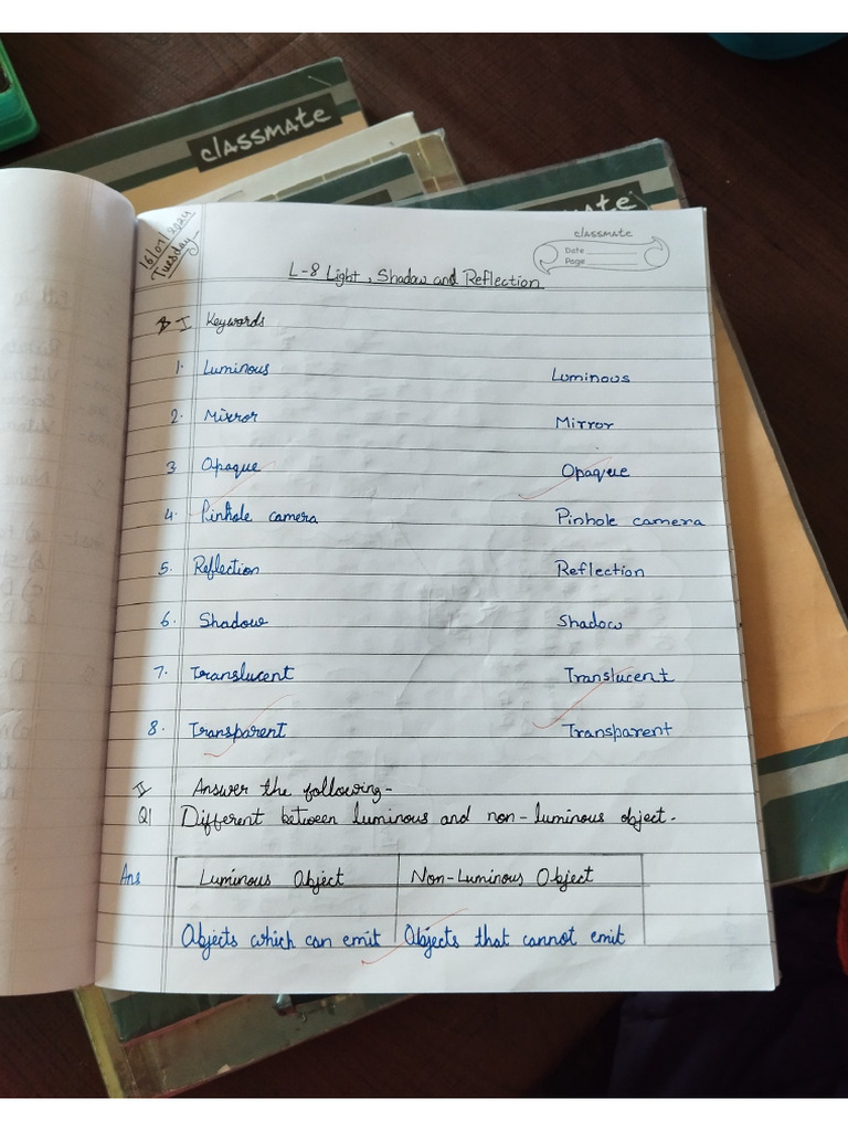 Science 1 | PDF