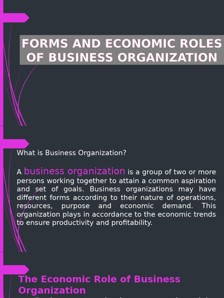 Chapter 3 Forms and Economic Roles of Business Organization | PDF