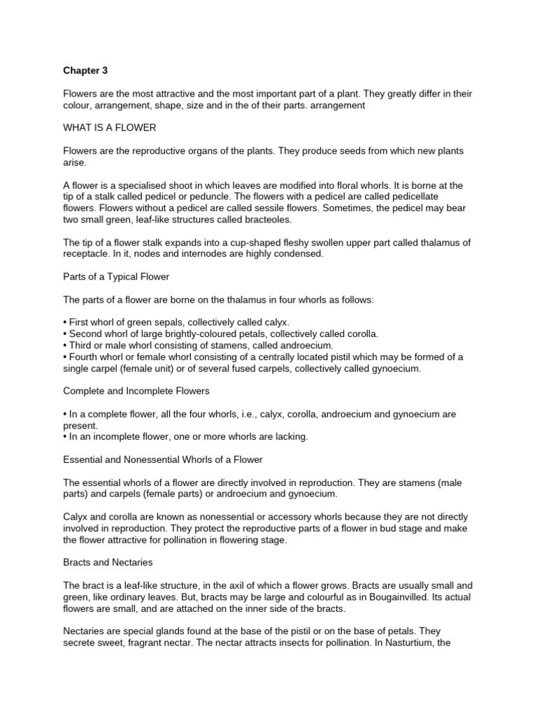 Chapter 3 | PDF