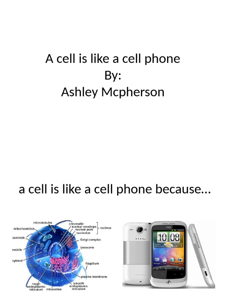 A Cell Is Like A Cell Phone | PDF