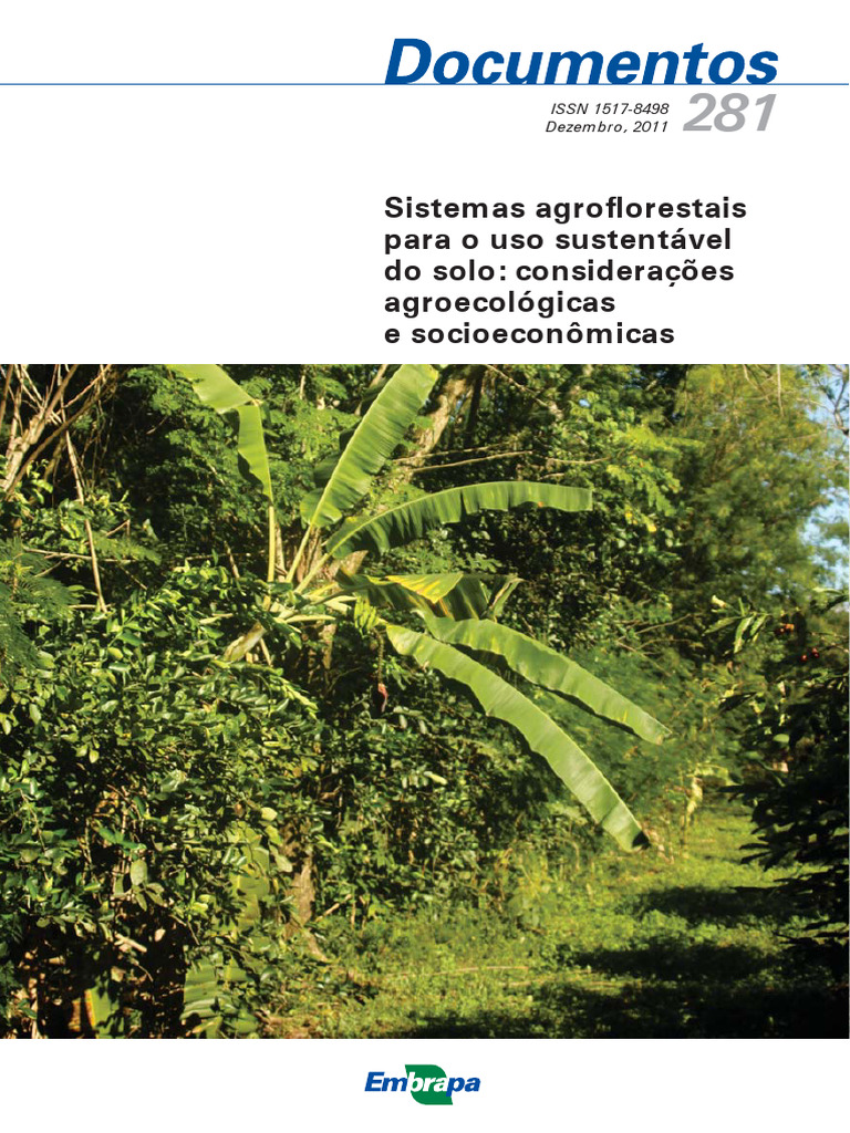 Doc281 11 | PDF