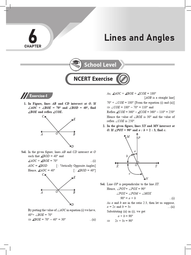 Lines and Angles NCERT Ex. | PDF