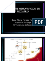 Sindrome Hemorragico