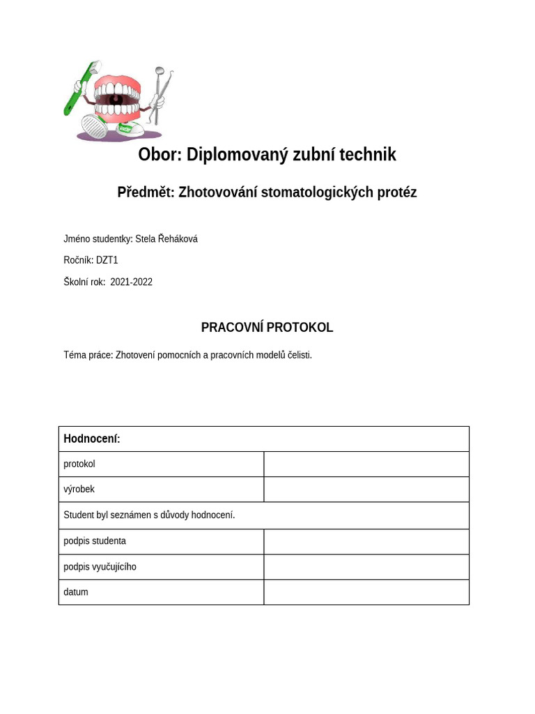 DZT - Protokol 1 | PDF