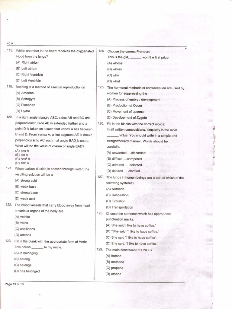 Veterinary Assistant Pdf