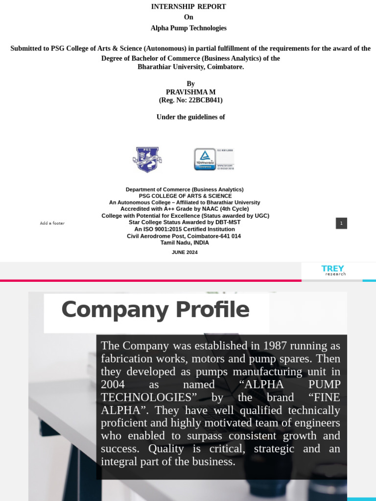 22bcb041 Internship Review | PDF