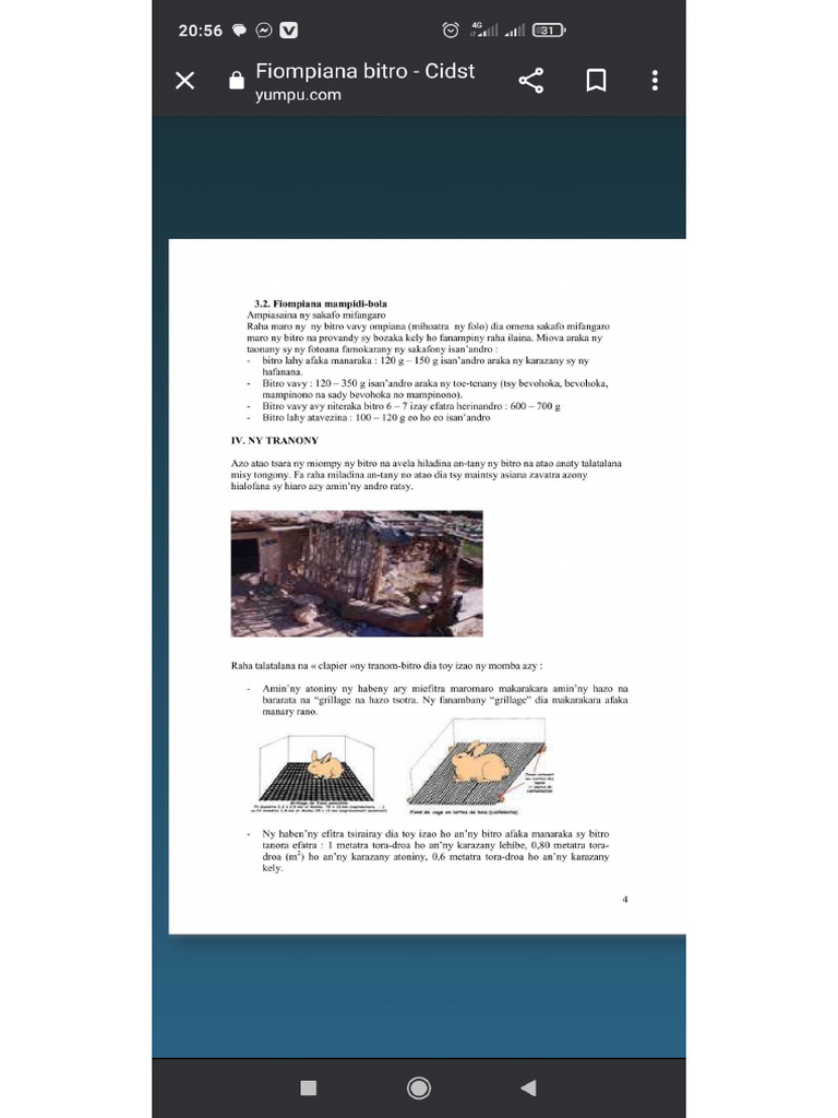 Bitro | PDF
