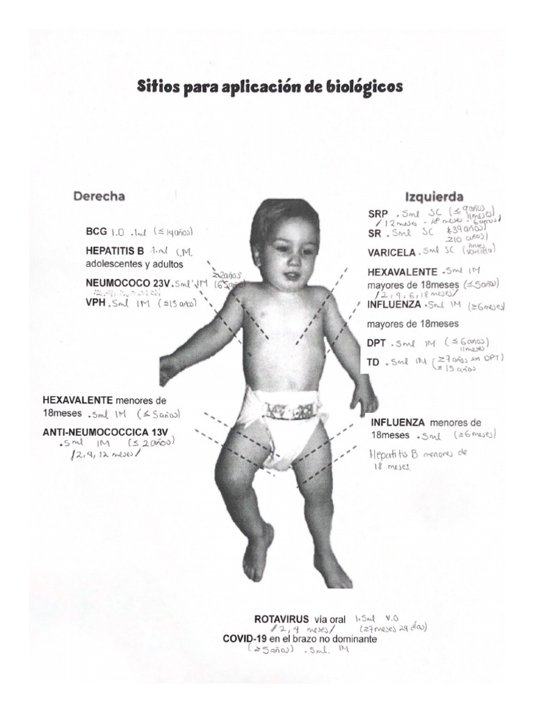 Sitios para Aplicación de Biológicos | PDF