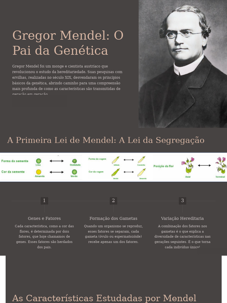 Gregor Mendel O Pai Da Genetica | PDF