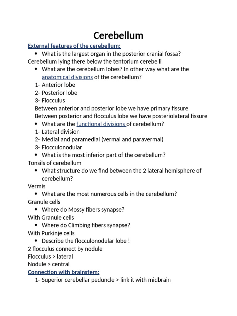Anatomy and Functions of the Cerebellum | PDF | Cerebellum | Science ...