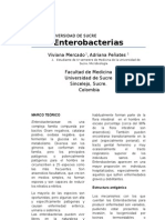 In. Enterobacterias2fin