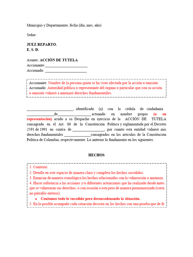 Modelo de Accion de Tutela FICHA | PDF