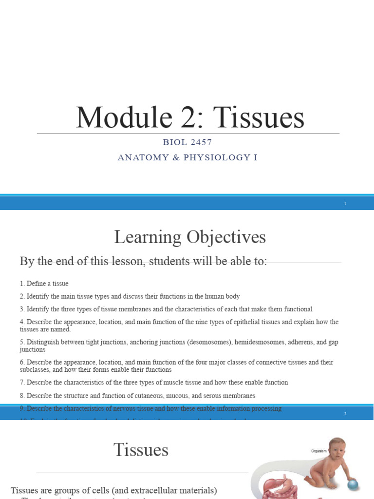 2457+ +module+2+ +tissues+ +completed Compressed | PDF