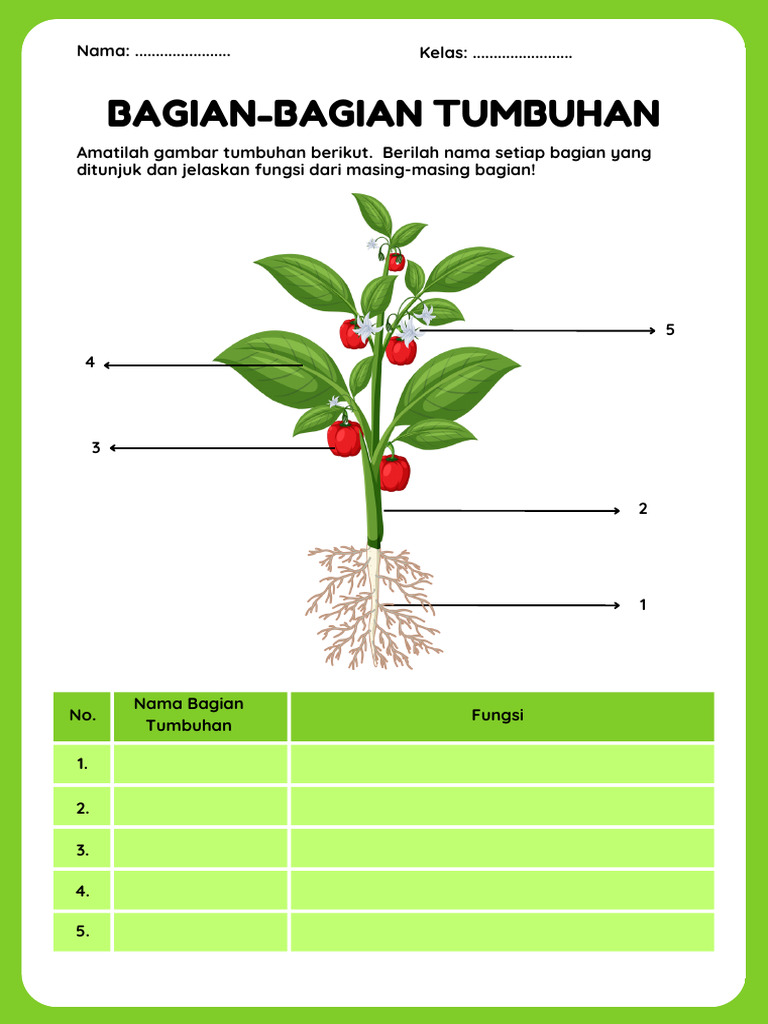 Hijau Ilustratif IPA Bagian Tumbuhan Lembar Kerja (1) | PDF