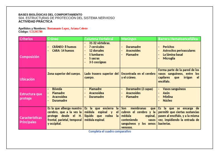 Bases Bio. Semana04 | PDF