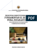 Principios Constitucionales Que Fund Amen Tan El Derecho Penal Nicaraguense - Francisco Enriquez Cabistan