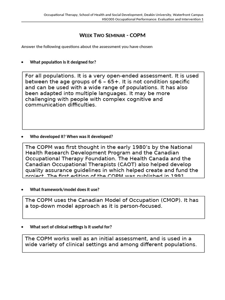 Occupational Therapy COPM Notes | PDF