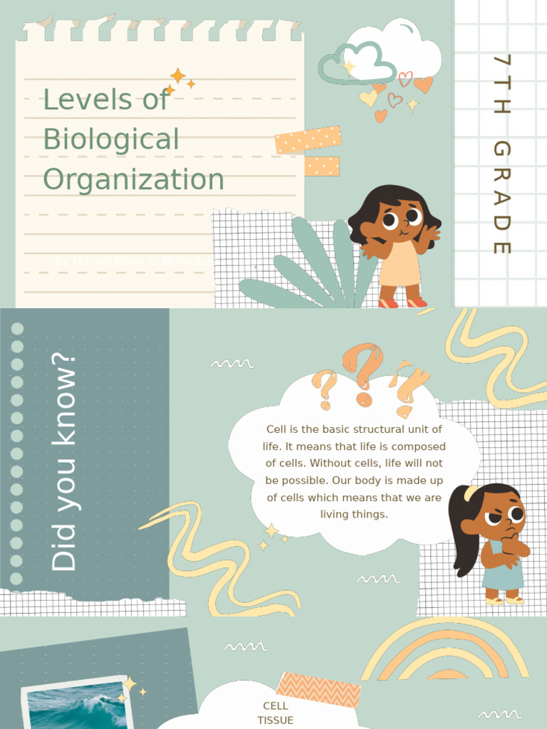 Module 3 Levels of Biological Organization | PDF