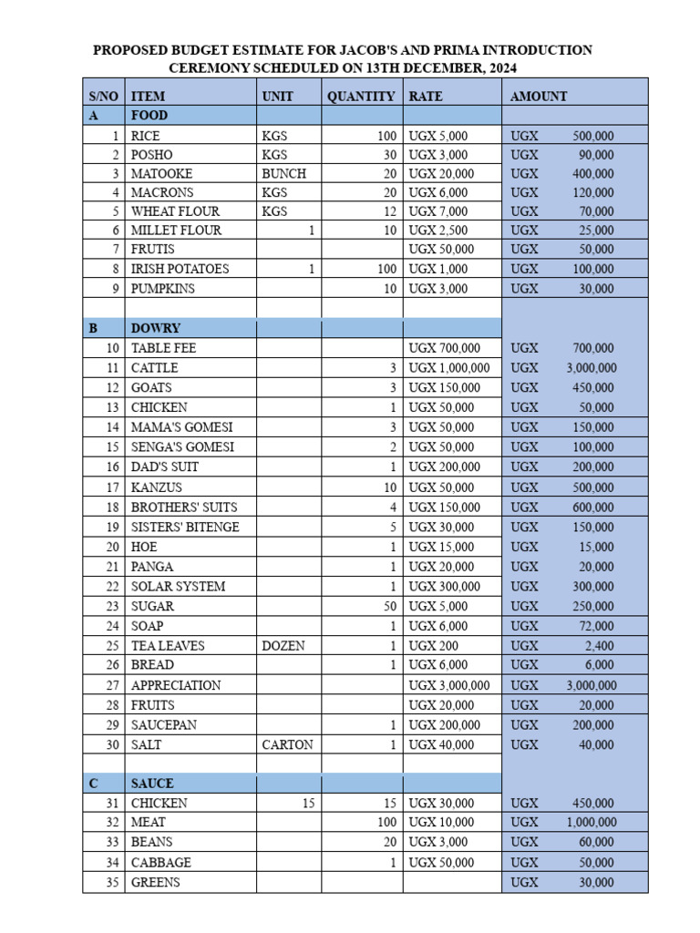 INTRODUCTION budget PDF