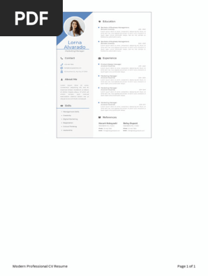 Modern Professional CV Resume