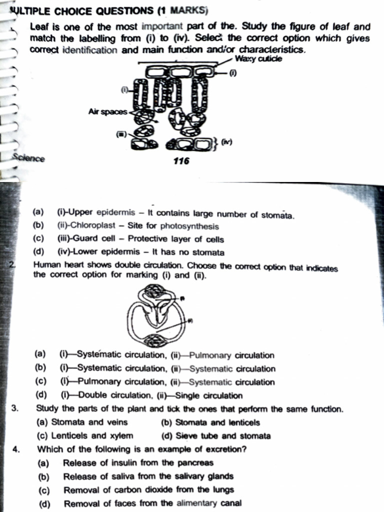 CH - Life Processes | PDF