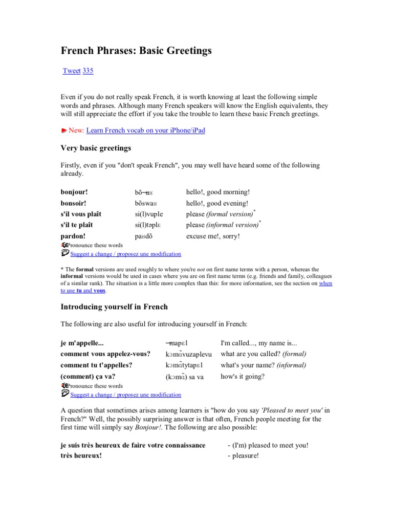 French Phrases PDF Grammatical Gender Grammatical Conjugation