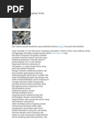 Download budidaya semut rangrang by Febri Hemm Hemm SN77209283 doc pdf