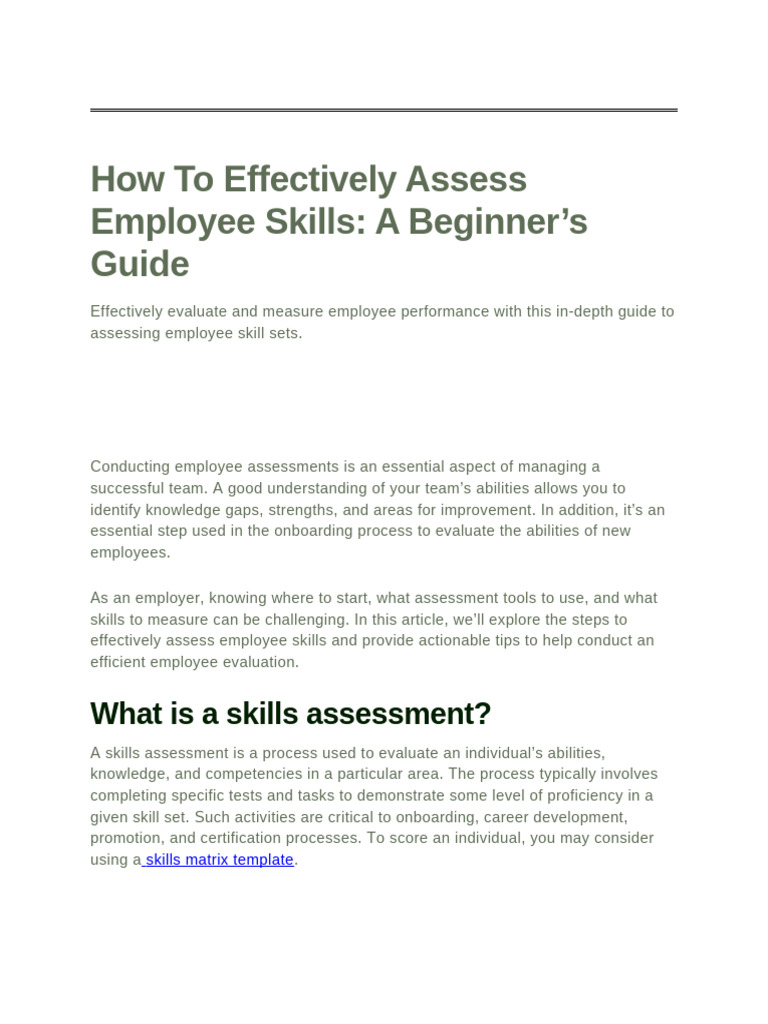 How To Effectively Assess Employee Skills A Beginner's Guide | PDF ...