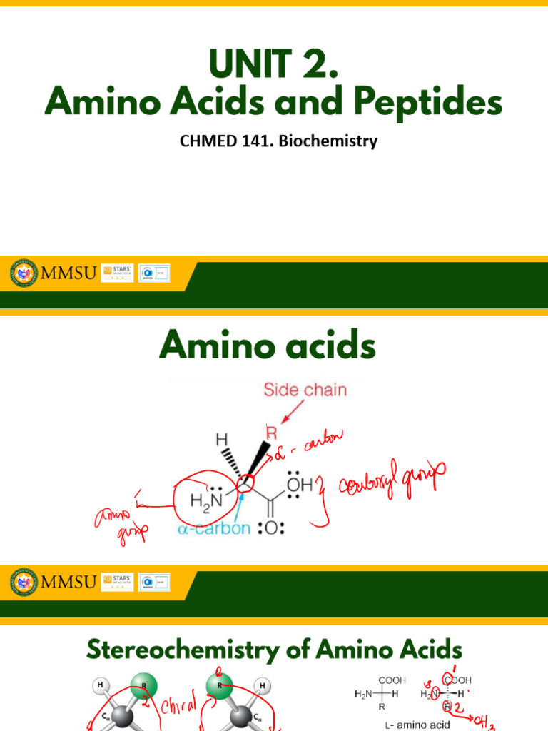 Amino Acids and Peptides | PDF | Amino Acid | Acid