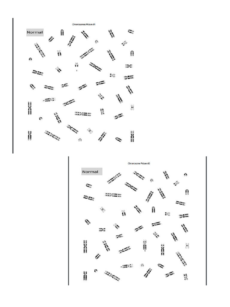 Untitled Design | PDF