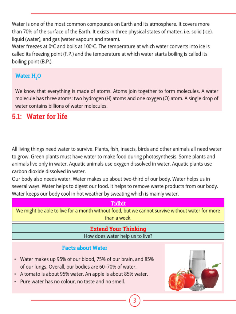 Science Chapter 5 | PDF