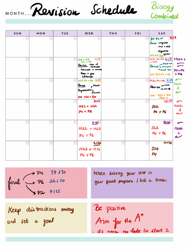 Revision Plan ??? | PDF