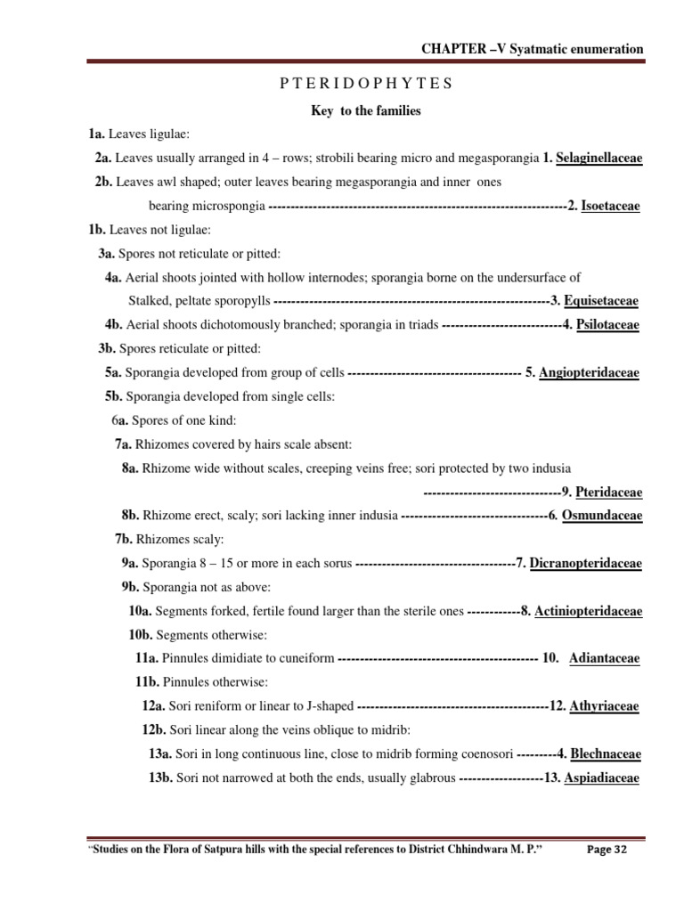 11 Chapter 5 | PDF