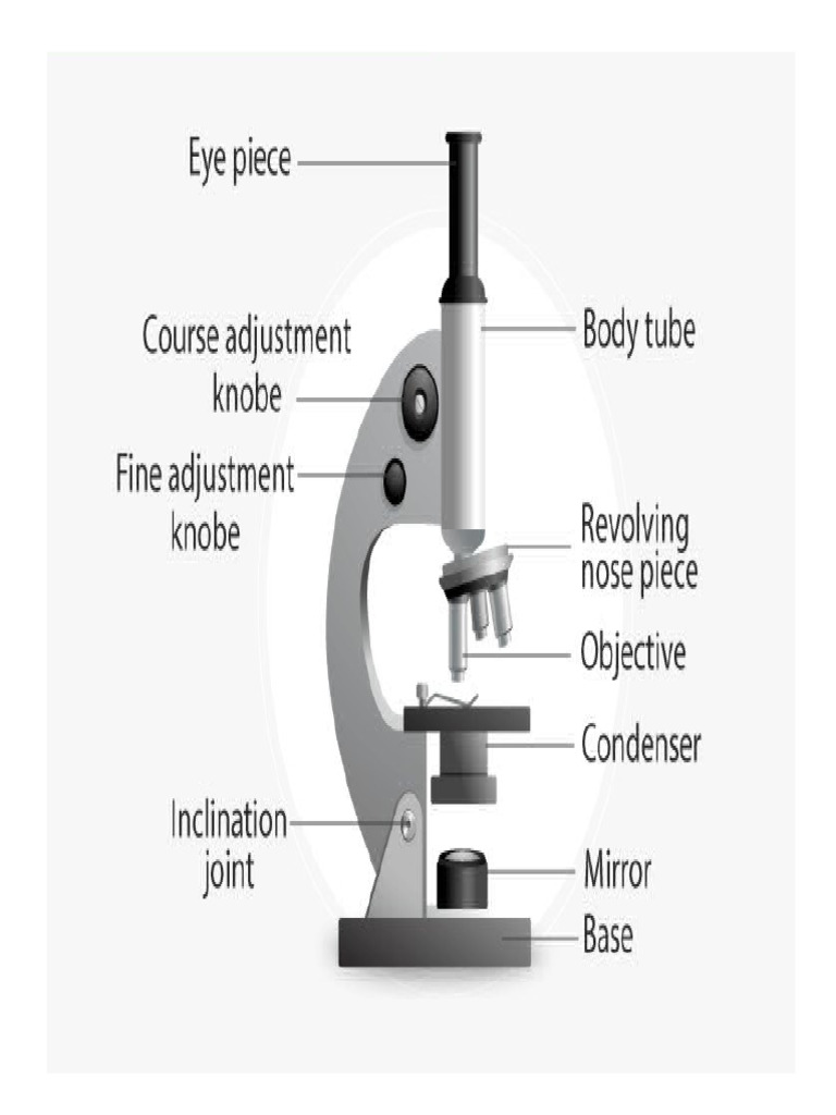 Microscope | PDF