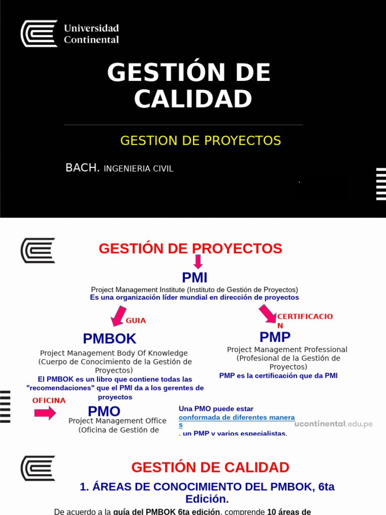 Gestión de Calidad en Proyectos PMI | PDF | Calidad (comercial ...