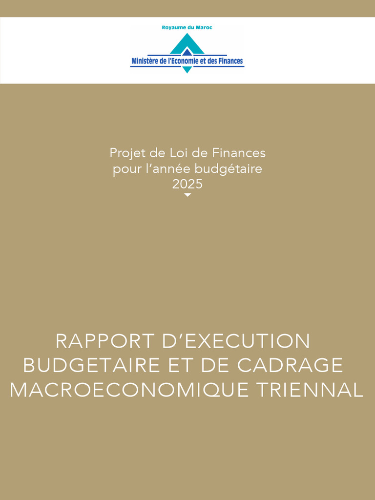 Projet de Loi de Finance Pour 2025 | PDF