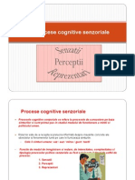 3.procese Cognitive Senzoriale - Senzatii, Perceptii Reprezentari