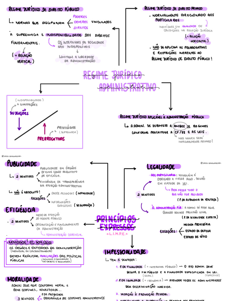 Aula 01 - Mapa Mental | PDF